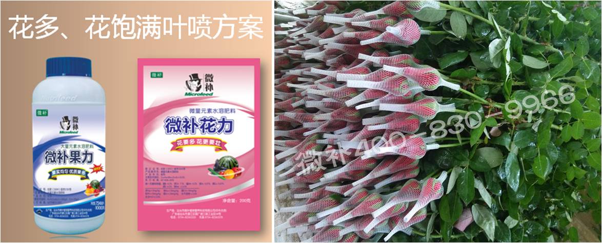 花卉也需要微補嗎？