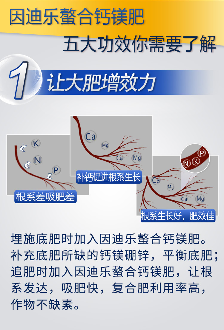 18因迪樂(lè)有機(jī)螯合鈣鎂肥2_04.jpg