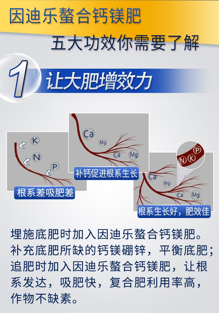 18因迪樂螯合鈣鎂肥【手機版】_06.jpg