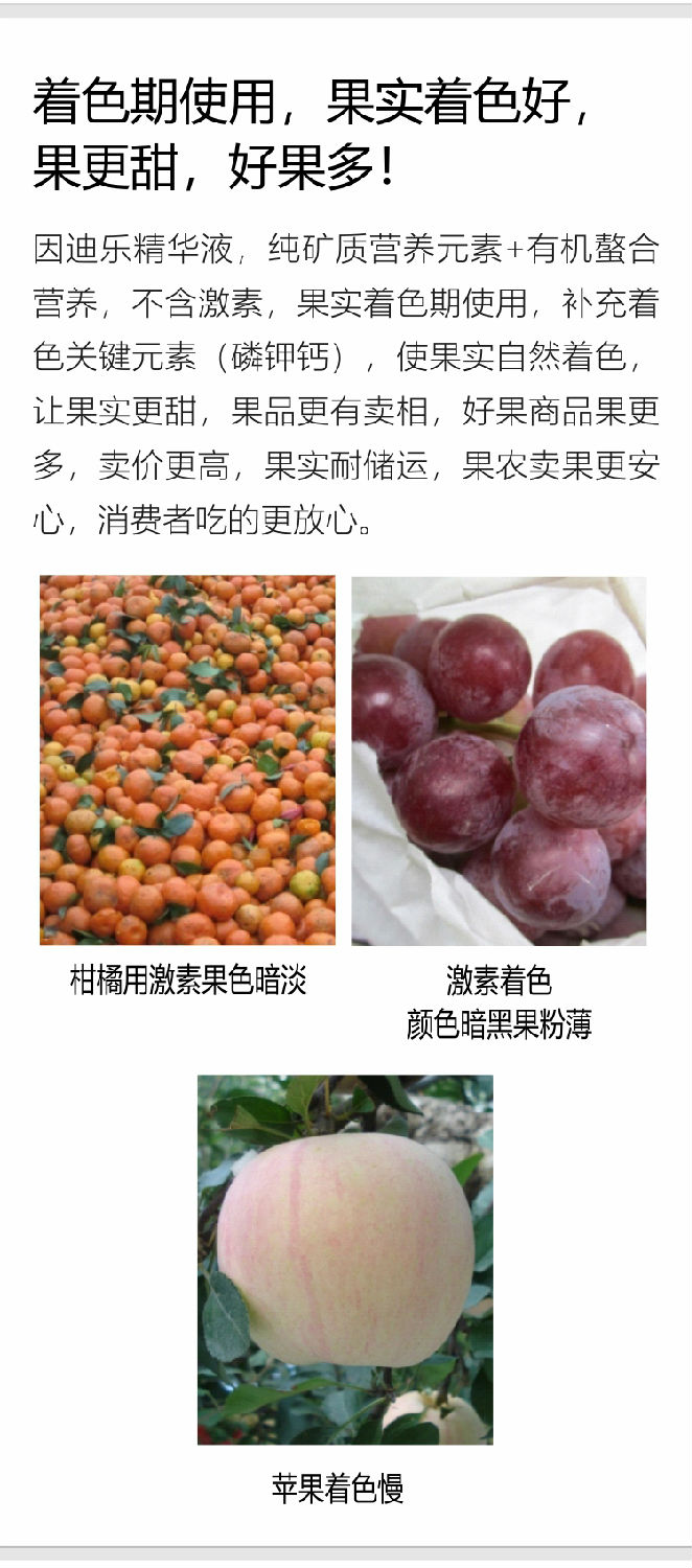 因迪樂精華液(1)_06.jpg